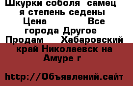 Шкурки соболя (самец) 1-я степень седены › Цена ­ 12 000 - Все города Другое » Продам   . Хабаровский край,Николаевск-на-Амуре г.